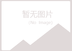 铜官山区敷衍咨询有限公司